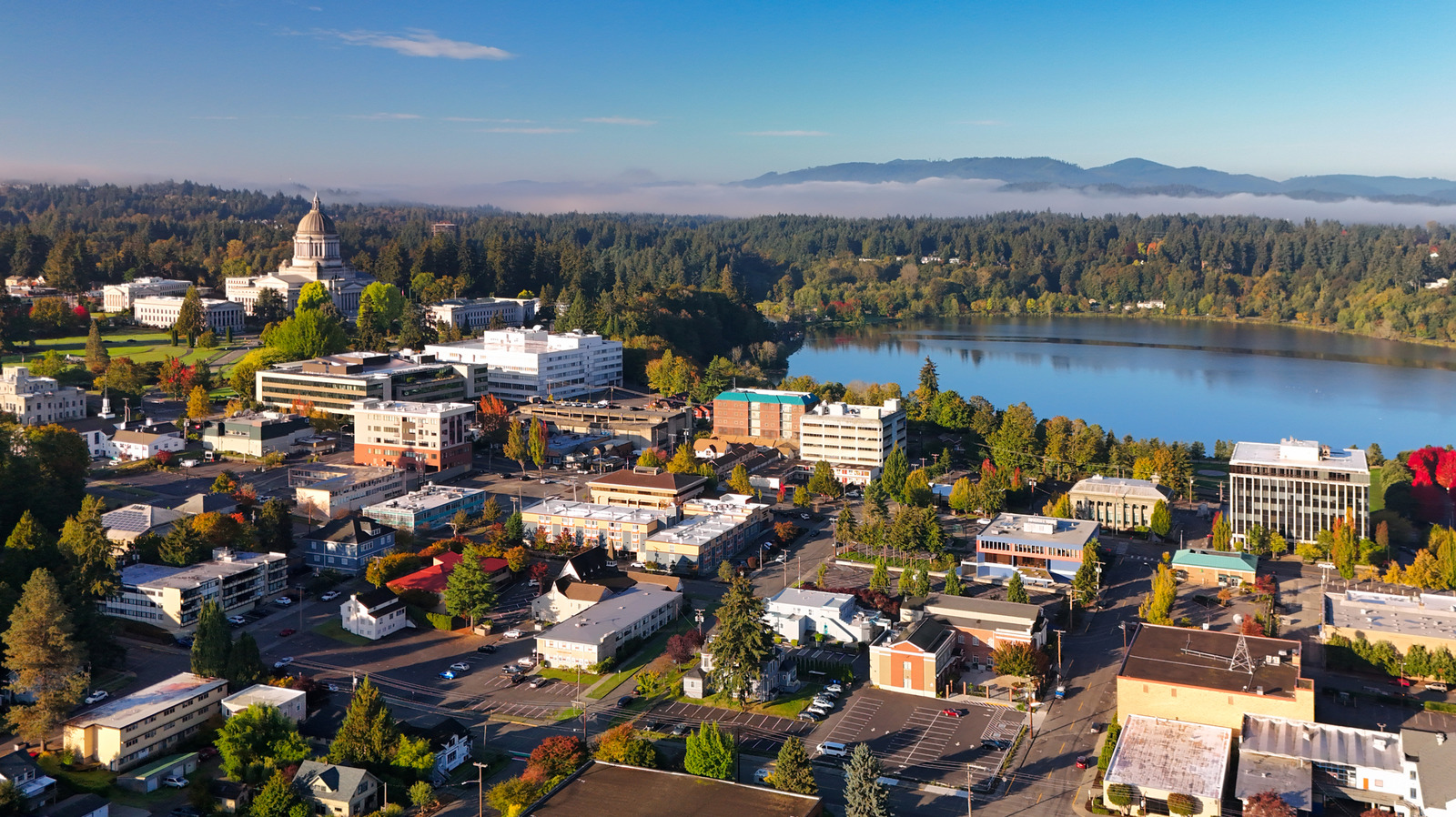 View of Issaquah neighborhoods with hills and greenery in the background