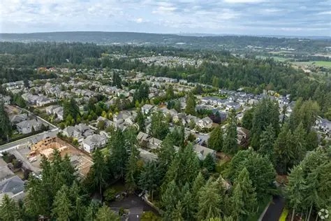 Family-friendly street and park scene in Redmond, Washington